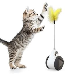 JUGUETE PARA GATO INTERACTIVO