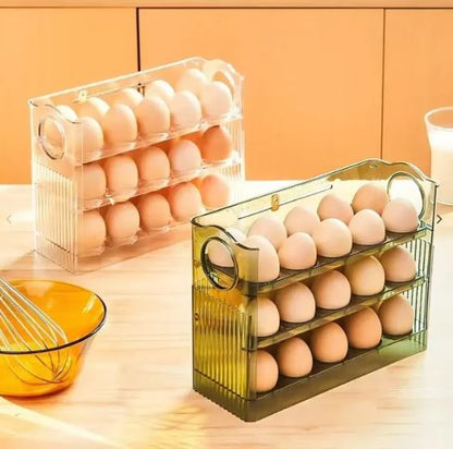 ORGANIZADOR DE HUEVOS