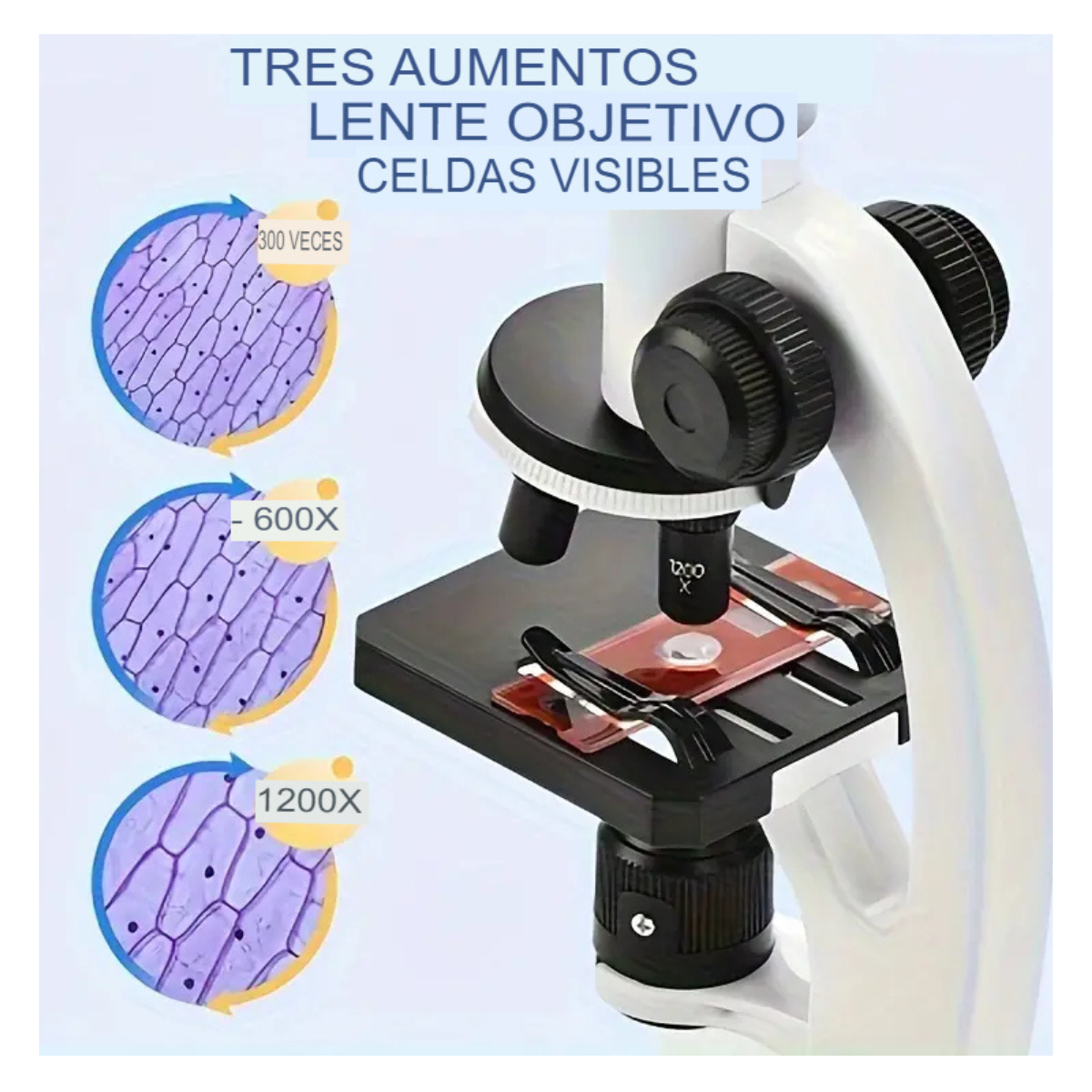 KIT MICROSCOPIO COMPUESTO INFANTIL